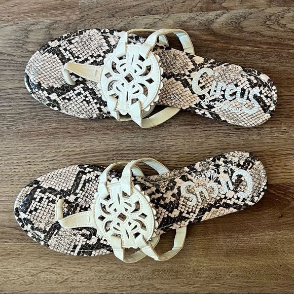 Circus by Sam Edelman Cherri Medallion Flat Sandals Snake Print Taupe Black SZ 8 - Picture 3 of 6
